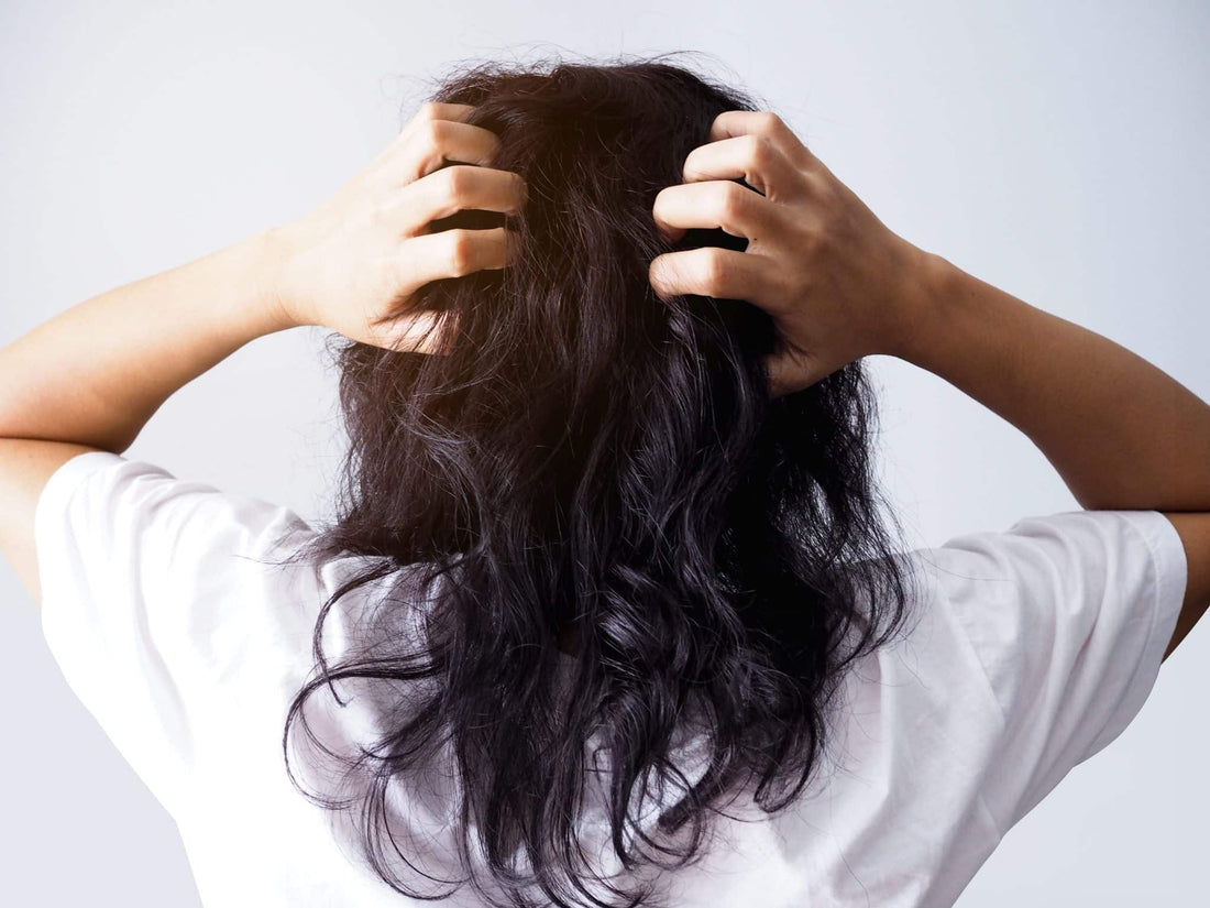Different Scalp Conditions: Treatment Options & More - TrichoLab